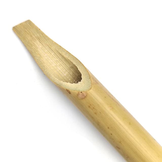 قلم نی جنوبی سفارشی درشت